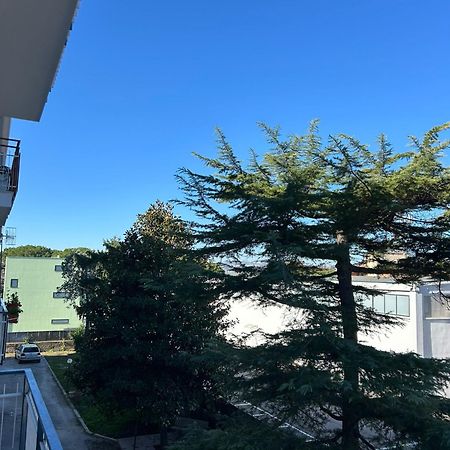 B&B Serangi - Il Piacere Di Sentirsi A Casa Cercola Exterior foto